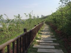 -重庆悦来温德姆酒店