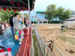 -西霞口神雕山野生动物世界