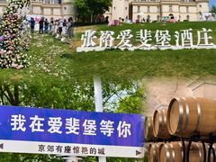 -北京张裕爱斐堡酒庄