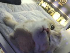 -万达广场(太原街店)