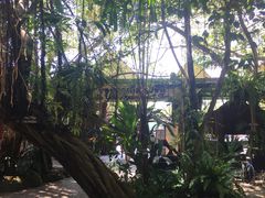 -绿光森林餐厅