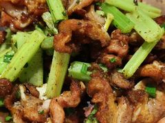 -火龙堂·风味民间菜(文一路店)