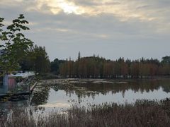 -白鹭湾湿地公园