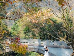 -广州市石门国家森林公园
