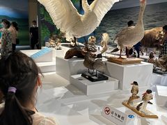 -中国湿地博物馆