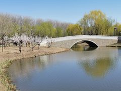 -东郊湿地公园