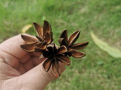 -美的鹭湖森林度假区