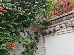 -碑林公园