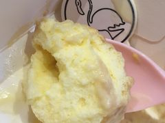 黑糖珍珠梳芙厘-狐狸和向日葵(北京路店)