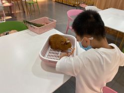 -Moni星球萌宠·小马宝莉·灵蛇·高端高阶全萌宠互动体验俱乐部(红豆国际广场店)