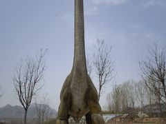 -西部长青自然儿童乐园