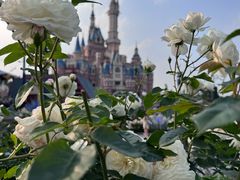 -上海迪士尼度假区