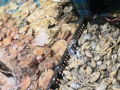 -和源祥·日照菜扛把子(万平口一店)