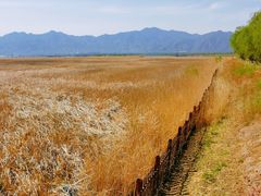 -野鸭湖国家湿地公园