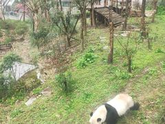 -黔灵山公园