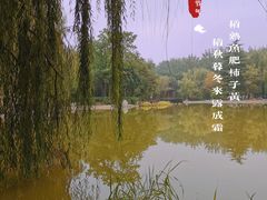 -西安市长乐公园