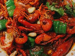 -京悦南门涮羊肉·羊蝎子火锅(田林路店)