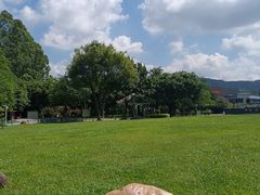 -火炉山森林公园