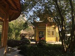 -黄山温泉国际旅游度假区