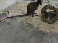 -海合安武汉极地海洋公园