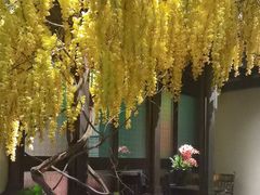 -金链花·泰国餐厅(国贸店)