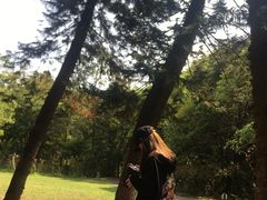 -金山植物公园