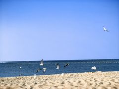 -那香海钻石沙滩浴场