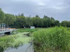 -中关村生命科学园