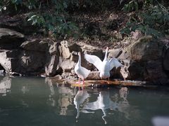 -兰亭风景区