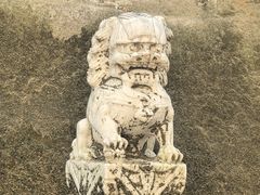 -白水寺森林公园
