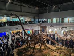 -自贡恐龙博物馆