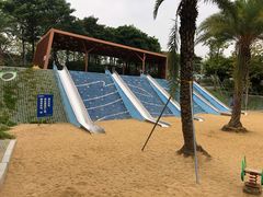 -宝安西湾红树林湿地公园