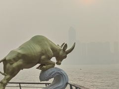 -武昌江滩