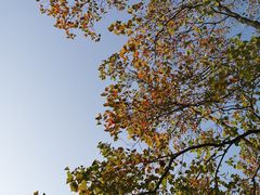 -洋湖国家湿地公园