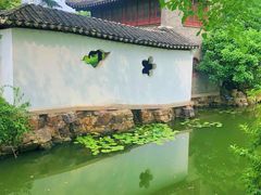 -水绘园