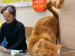 -玉华饮食店(茅台路店)