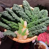 冬日吃点暖和的‼️值得N刷的山野火锅🍲‼️