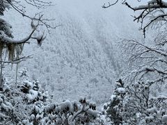 -黄龙山原始森林景区