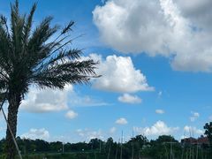 -露天矿生态公园