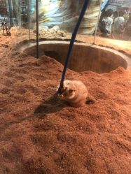 点击看大图 -Zoolung Zoolung动物主题公园(海信广场店)