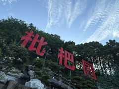 -枇杷园食为鲜火锅(南山店)