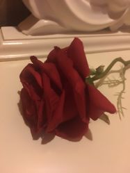 -伊姿衫日瘦 ·科技瘦身 ·纤体美妍