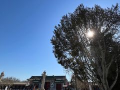 -国家图书馆·古籍馆