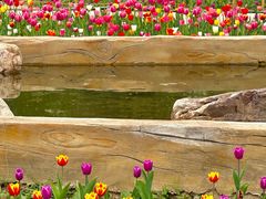 -长春公园(普阳街道)