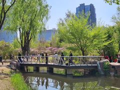 -黑龙江省森林植物园