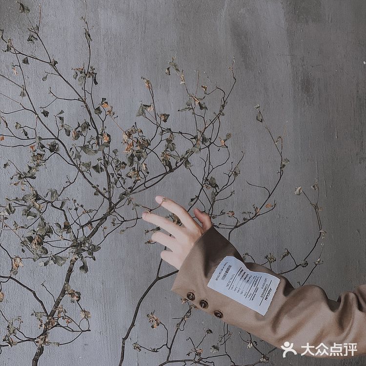 阳江首家中国风咖啡茶馆|邂逅东方古典美