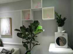 -久匠·野生眉半永久纹眉