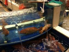 -海景壹号大酒店(惠钱路店)