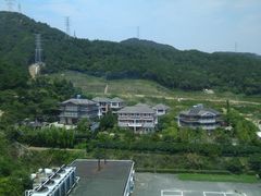 -大榭国际大酒店