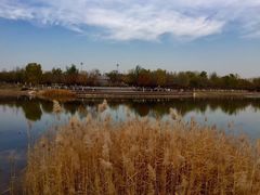 -永定河休闲森林公园